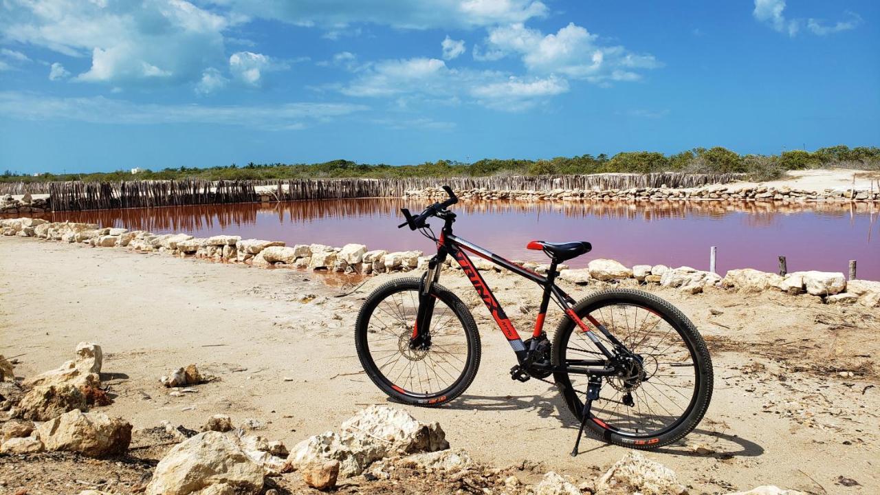 Reef Yucatan All Inclusive & Convention Center Mérida Eksteriør bilde