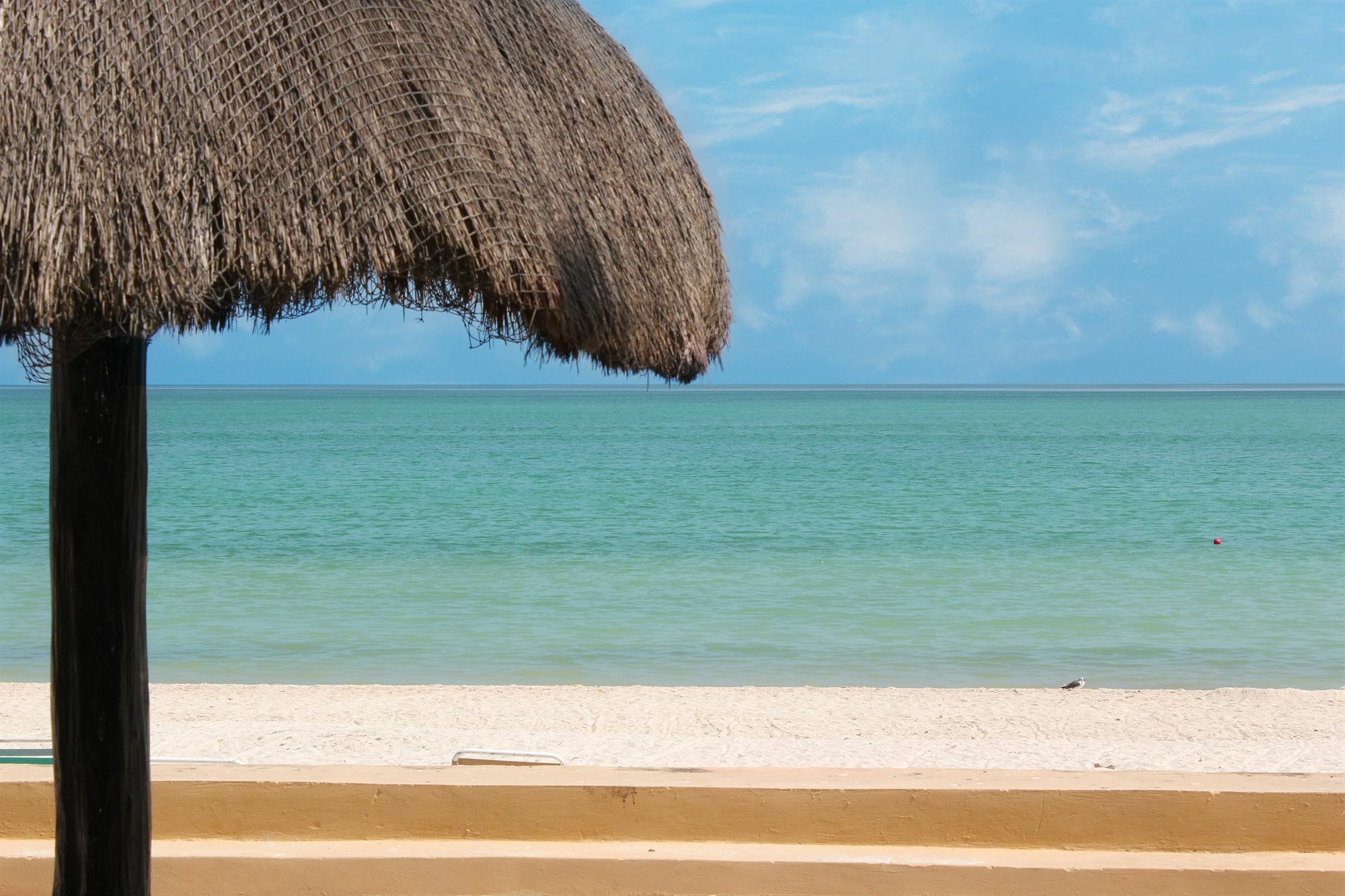 Reef Yucatan All Inclusive & Convention Center Mérida Eksteriør bilde